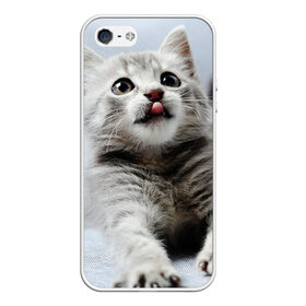 Чехол для iPhone 5/5S матовый с принтом серый котенок в Кировске, Силикон | Область печати: задняя сторона чехла, без боковых панелей | grey kitten | kitten | котенок | милый котенок | серый котенок