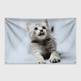 Флаг-баннер с принтом серый котенок в Кировске, 100% полиэстер | размер 67 х 109 см, плотность ткани — 95 г/м2; по краям флага есть четыре люверса для крепления | grey kitten | kitten | котенок | милый котенок | серый котенок