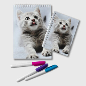 Блокнот с принтом серый котенок в Кировске, 100% бумага | 48 листов, плотность листов — 60 г/м2, плотность картонной обложки — 250 г/м2. Листы скреплены удобной пружинной спиралью. Цвет линий — светло-серый
 | grey kitten | kitten | котенок | милый котенок | серый котенок
