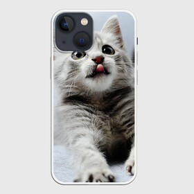 Чехол для iPhone 13 mini с принтом серый котенок в Кировске,  |  | grey kitten | kitten | котенок | милый котенок | серый котенок