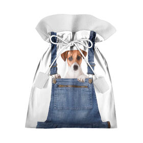 Подарочный 3D мешок с принтом ЩЕНОК В КАРМАШКЕ в Кировске, 100% полиэстер | Размер: 29*39 см | Тематика изображения на принте: dog | jeans | packet | гав | джинсовый | дружок | животные | звери | карман | комбинезон | ломашние | одежда | пес | собака | щенок
