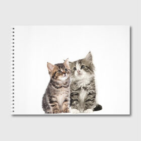Альбом для рисования с принтом котята в Кировске, 100% бумага
 | матовая бумага, плотность 200 мг. | cute kittens | kittens | котята | красивые котята | милые котята