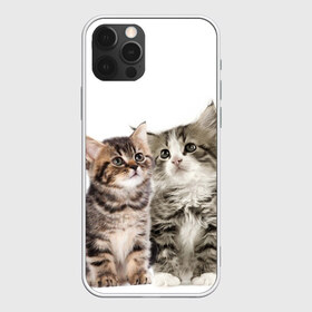 Чехол для iPhone 12 Pro Max с принтом котята в Кировске, Силикон |  | cute kittens | kittens | котята | красивые котята | милые котята