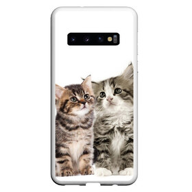 Чехол для Samsung Galaxy S10 с принтом котята в Кировске, Силикон | Область печати: задняя сторона чехла, без боковых панелей | cute kittens | kittens | котята | красивые котята | милые котята