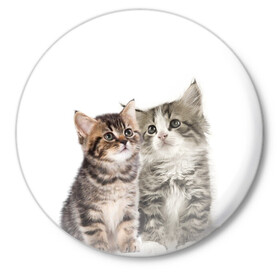 Значок с принтом котята в Кировске,  металл | круглая форма, металлическая застежка в виде булавки | Тематика изображения на принте: cute kittens | kittens | котята | красивые котята | милые котята