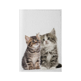 Обложка для паспорта матовая кожа с принтом котята в Кировске, натуральная матовая кожа | размер 19,3 х 13,7 см; прозрачные пластиковые крепления | Тематика изображения на принте: cute kittens | kittens | котята | красивые котята | милые котята