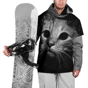Накидка на куртку 3D с принтом Чёрный кот в Кировске, 100% полиэстер |  | животное | кот | кошка | тёмный рисунок | чёрный фон