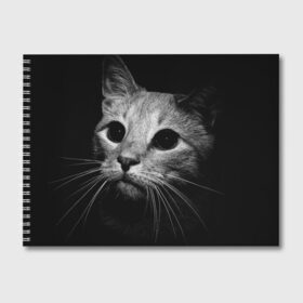 Альбом для рисования с принтом Чёрный кот в Кировске, 100% бумага
 | матовая бумага, плотность 200 мг. | Тематика изображения на принте: животное | кот | кошка | тёмный рисунок | чёрный фон