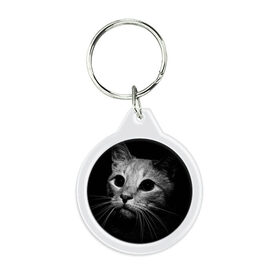 Брелок круглый с принтом Чёрный кот в Кировске, пластик и полированная сталь | круглая форма, металлическое крепление в виде кольца | Тематика изображения на принте: животное | кот | кошка | тёмный рисунок | чёрный фон