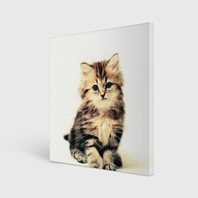 Холст квадратный с принтом котёнок в Кировске, 100% ПВХ |  | cute kitten | kitten | котёнок | красивый котёнок | милый котёнок