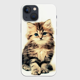 Чехол для iPhone 13 mini с принтом котёнок в Кировске,  |  | cute kitten | kitten | котёнок | красивый котёнок | милый котёнок