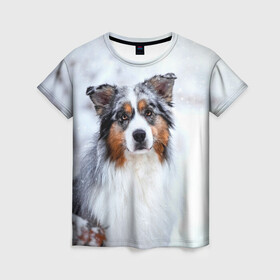 Женская футболка 3D с принтом Австралийская овчарка в Кировске, 100% полиэфир ( синтетическое хлопкоподобное полотно) | прямой крой, круглый вырез горловины, длина до линии бедер | dog | австралийская | животные | овчарка | пес | природа | собака | собаки | собакчка | собачки