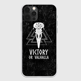 Чехол для iPhone 12 Pro Max с принтом Victory or Valhalla в Кировске, Силикон |  | вальхалла | викинг | ворон | символ | скандинавия | череп | язычество