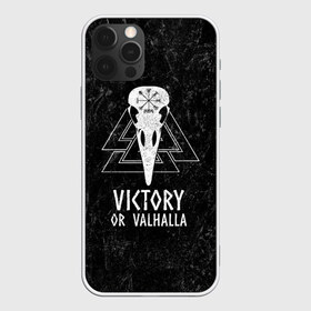 Чехол для iPhone 12 Pro Max с принтом Victory or Valhalla в Кировске, Силикон |  | Тематика изображения на принте: вальхалла | викинг | ворон | символ | скандинавия | череп | язычество