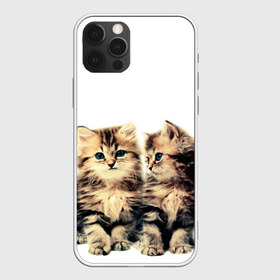 Чехол для iPhone 12 Pro Max с принтом котята в Кировске, Силикон |  | cute kittens | kittens | котята | красивые котята | милые котята