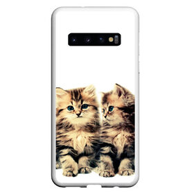 Чехол для Samsung Galaxy S10 с принтом котята в Кировске, Силикон | Область печати: задняя сторона чехла, без боковых панелей | cute kittens | kittens | котята | красивые котята | милые котята
