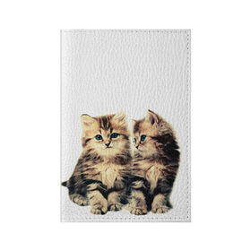 Обложка для паспорта матовая кожа с принтом котята в Кировске, натуральная матовая кожа | размер 19,3 х 13,7 см; прозрачные пластиковые крепления | cute kittens | kittens | котята | красивые котята | милые котята
