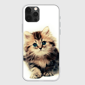 Чехол для iPhone 12 Pro Max с принтом катёнок в Кировске, Силикон |  | cute kitten | kitten | котёнок | красивый котёнок | милый котёнок