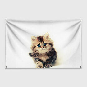 Флаг-баннер с принтом катёнок в Кировске, 100% полиэстер | размер 67 х 109 см, плотность ткани — 95 г/м2; по краям флага есть четыре люверса для крепления | cute kitten | kitten | котёнок | красивый котёнок | милый котёнок
