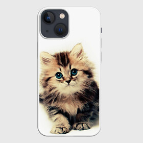 Чехол для iPhone 13 mini с принтом катёнок в Кировске,  |  | Тематика изображения на принте: cute kitten | kitten | котёнок | красивый котёнок | милый котёнок