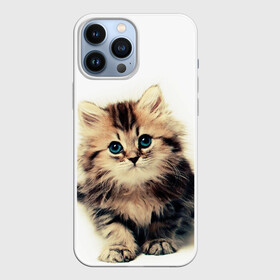 Чехол для iPhone 13 Pro Max с принтом катёнок в Кировске,  |  | Тематика изображения на принте: cute kitten | kitten | котёнок | красивый котёнок | милый котёнок