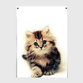 Постер с принтом катёнок в Кировске, 100% бумага
 | бумага, плотность 150 мг. Матовая, но за счет высокого коэффициента гладкости имеет небольшой блеск и дает на свету блики, но в отличии от глянцевой бумаги не покрыта лаком | cute kitten | kitten | котёнок | красивый котёнок | милый котёнок