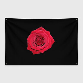 Флаг-баннер с принтом роза в Кировске, 100% полиэстер | размер 67 х 109 см, плотность ткани — 95 г/м2; по краям флага есть четыре люверса для крепления | 