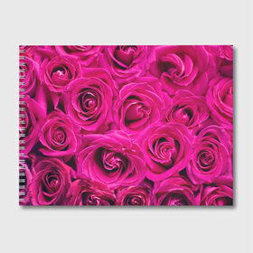 Альбом для рисования с принтом Розы в Кировске, 100% бумага
 | матовая бумага, плотность 200 мг. | абстрактно | абстрактные | абстрактный | абстракция | красные | роза | розовые | розы | цветок | цветочек | цветочки | цветочный | цветы
