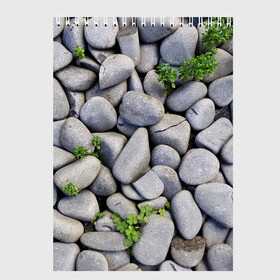 Скетчбук с принтом Камни в Кировске, 100% бумага
 | 48 листов, плотность листов — 100 г/м2, плотность картонной обложки — 250 г/м2. Листы скреплены сверху удобной пружинной спиралью | абстрактно | абстрактные | абстрактный | абстракция | галька | каменные | каменный | камень | камни | камушки | клевер | природа | растения