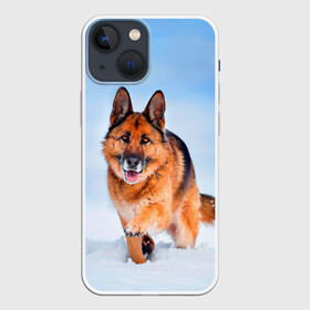 Чехол для iPhone 13 mini с принтом Овчарка и снег в Кировске,  |  | dog | животные | зима | овчарка | пес | природа | снег | собака | собаки | собакчка | собачки
