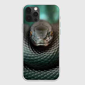 Чехол для iPhone 12 Pro Max с принтом Чёрная мамба в Кировске, Силикон |  | Тематика изображения на принте: блеск | гад | змея | мамба | хладнокровный | чёрная | чешуя