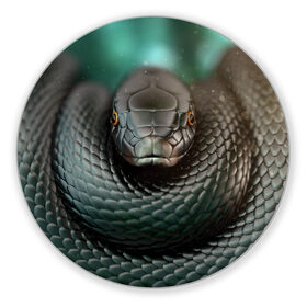 Коврик для мышки круглый с принтом Чёрная мамба в Кировске, резина и полиэстер | круглая форма, изображение наносится на всю лицевую часть | блеск | гад | змея | мамба | хладнокровный | чёрная | чешуя