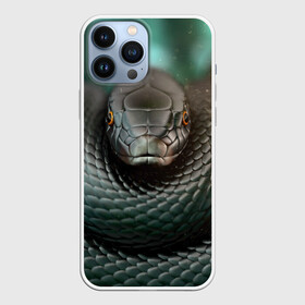 Чехол для iPhone 13 Pro Max с принтом Чёрная мамба в Кировске,  |  | Тематика изображения на принте: блеск | гад | змея | мамба | хладнокровный | чёрная | чешуя