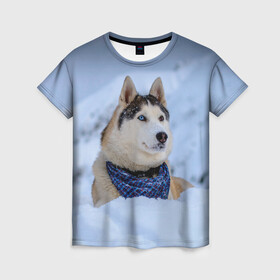 Женская футболка 3D с принтом Хаски в Кировске, 100% полиэфир ( синтетическое хлопкоподобное полотно) | прямой крой, круглый вырез горловины, длина до линии бедер | dog | животные | пес | природа | собака | собаки | собакчка | собачки | хаски