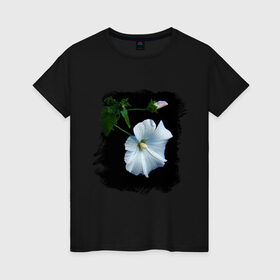 Женская футболка хлопок с принтом Лаватера в Кировске, 100% хлопок | прямой крой, круглый вырез горловины, длина до линии бедер, слегка спущенное плечо | букет | лаватера | лето | растение | сад | фото лаватеры | цветок