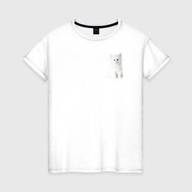 Женская футболка хлопок с принтом Белый котик в Кировске, 100% хлопок | прямой крой, круглый вырез горловины, длина до линии бедер, слегка спущенное плечо | белый | кот | котенок | котик | маленький | милый | пушистый