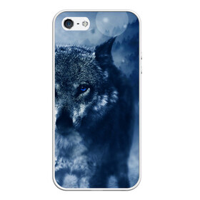 Чехол для iPhone 5/5S матовый с принтом Красивый волк в Кировске, Силикон | Область печати: задняя сторона чехла, без боковых панелей | wolf | ауф | волк | волчонок | зима | синеглазый волк