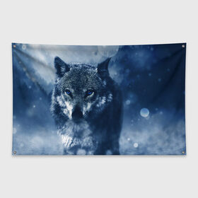 Флаг-баннер с принтом Красивый волк в Кировске, 100% полиэстер | размер 67 х 109 см, плотность ткани — 95 г/м2; по краям флага есть четыре люверса для крепления | wolf | ауф | волк | волчонок | зима | синеглазый волк