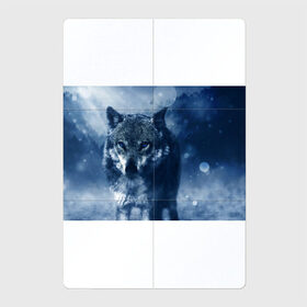 Магнитный плакат 2Х3 с принтом Красивый волк в Кировске, Полимерный материал с магнитным слоем | 6 деталей размером 9*9 см | Тематика изображения на принте: wolf | ауф | волк | волчонок | зима | синеглазый волк