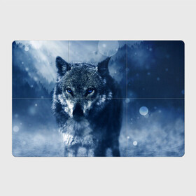 Магнитный плакат 3Х2 с принтом Красивый волк в Кировске, Полимерный материал с магнитным слоем | 6 деталей размером 9*9 см | wolf | ауф | волк | волчонок | зима | синеглазый волк