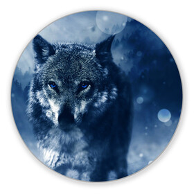 Коврик для мышки круглый с принтом Красивый волк в Кировске, резина и полиэстер | круглая форма, изображение наносится на всю лицевую часть | wolf | ауф | волк | волчонок | зима | синеглазый волк