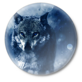 Значок с принтом Красивый волк в Кировске,  металл | круглая форма, металлическая застежка в виде булавки | Тематика изображения на принте: wolf | ауф | волк | волчонок | зима | синеглазый волк