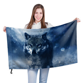 Флаг 3D с принтом Красивый волк в Кировске, 100% полиэстер | плотность ткани — 95 г/м2, размер — 67 х 109 см. Принт наносится с одной стороны | wolf | ауф | волк | волчонок | зима | синеглазый волк