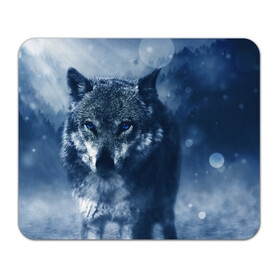 Коврик для мышки прямоугольный с принтом Красивый волк в Кировске, натуральный каучук | размер 230 х 185 мм; запечатка лицевой стороны | wolf | ауф | волк | волчонок | зима | синеглазый волк