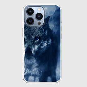 Чехол для iPhone 13 Pro с принтом Красивый волк в Кировске,  |  | wolf | ауф | волк | волчонок | зима | синеглазый волк
