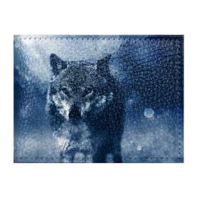 Обложка для студенческого билета с принтом Красивый волк в Кировске, натуральная кожа | Размер: 11*8 см; Печать на всей внешней стороне | wolf | ауф | волк | волчонок | зима | синеглазый волк
