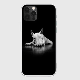 Чехол для iPhone 12 Pro Max с принтом Puppy в Кировске, Силикон |  | bull terrier | dog | ears | eyes | muzzle | nose | paws | puppy | бультерьер | глаза | лапы | нос | уши | щенок