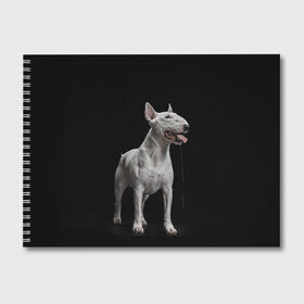 Альбом для рисования с принтом Bully в Кировске, 100% бумага
 | матовая бумага, плотность 200 мг. | bull terrier | dog | ears | eyes | fangs | jaw | muzzle | paws | saliva | tongue | бультерьер | глаза | клыки | лапы | нос | пасть | слюна | собака | уши | язык