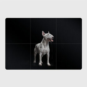 Магнитный плакат 3Х2 с принтом Bully в Кировске, Полимерный материал с магнитным слоем | 6 деталей размером 9*9 см | bull terrier | dog | ears | eyes | fangs | jaw | muzzle | paws | saliva | tongue | бультерьер | глаза | клыки | лапы | нос | пасть | слюна | собака | уши | язык