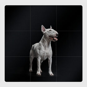 Магнитный плакат 3Х3 с принтом Bully в Кировске, Полимерный материал с магнитным слоем | 9 деталей размером 9*9 см | bull terrier | dog | ears | eyes | fangs | jaw | muzzle | paws | saliva | tongue | бультерьер | глаза | клыки | лапы | нос | пасть | слюна | собака | уши | язык